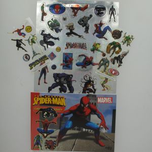 Pack Stickers Gold & Silver + cahier 1