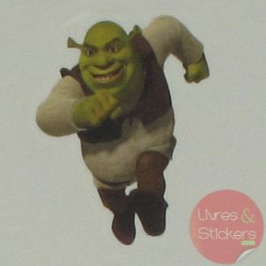 Tatouage Shrek le Troisième 4/4