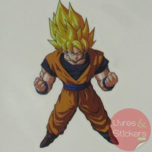 Tatouage DragonBall Z 2/4