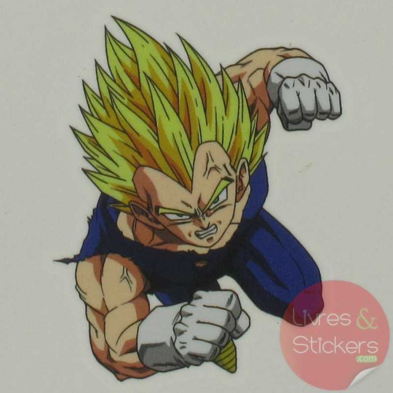 Tatouage DragonBall Z 4/4