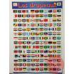 Posters éducatifs - Les drapeaux