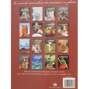 Les animaux de la fôret 