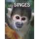 Les singes