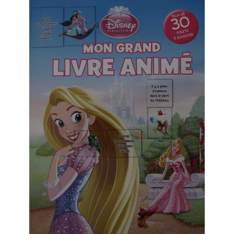 Mon grand livre animé avec plus de 30 volets à soulever