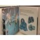 Disney  les fées, Clochette et le  secret des fées. Livre cd.